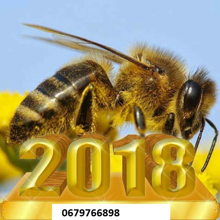 Бджолопакети ,Пчелопакеты на 2018 год с Доставкой!